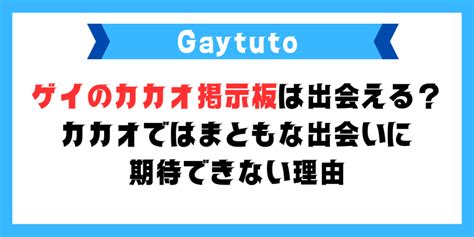 カカオ 出会い|カカオ掲示板